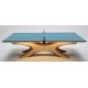 Table Tennis Tables Indoor